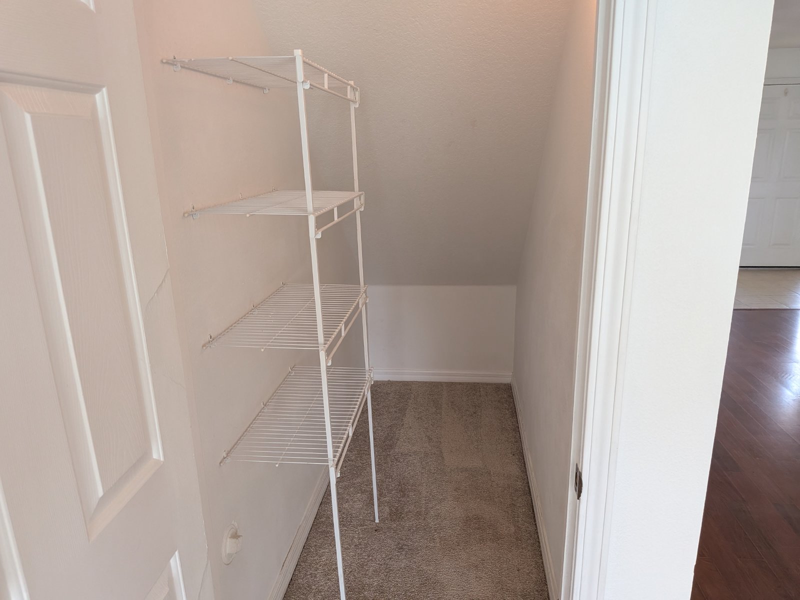Nice 4/2/2 In Oak Grove In Lutz property image