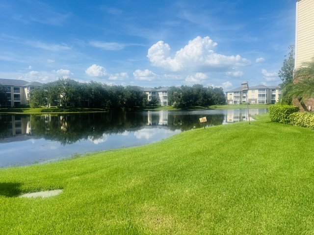 4107 CHATHAM OAK UNIT 312, TAMPA FL 33624 property image