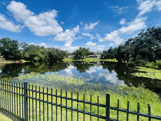 AMAZING CARROLLWOOD  HOME READY FOR MOVE IN! property image