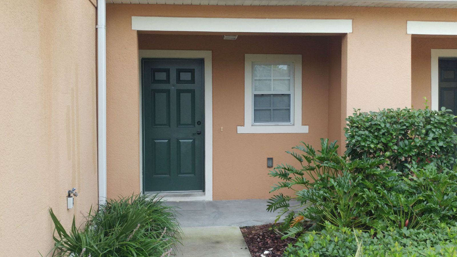 Luxurious Townhome In St. Charles Place - Riverview property image