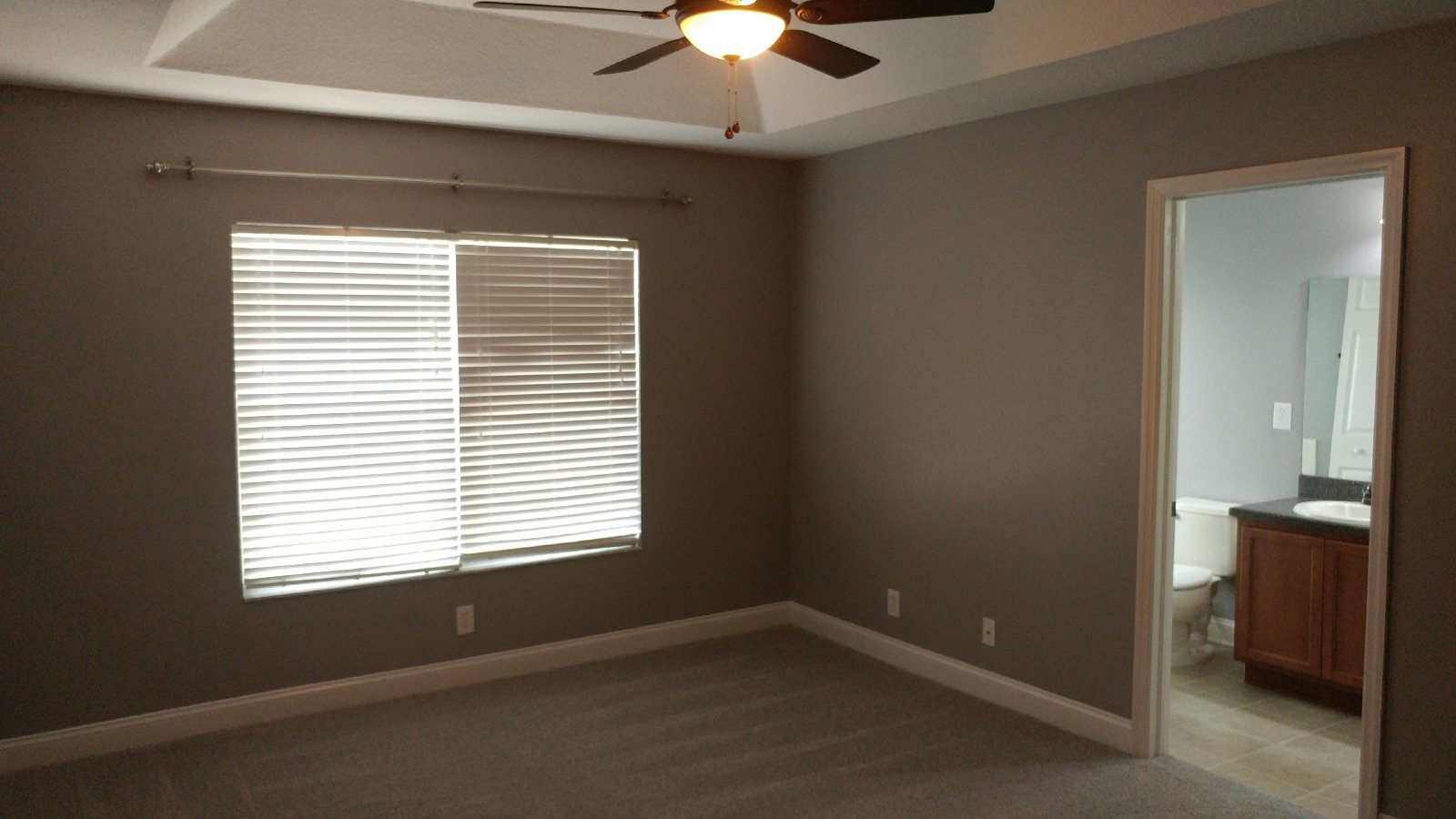 Luxurious Townhome In St. Charles Place - Riverview property image