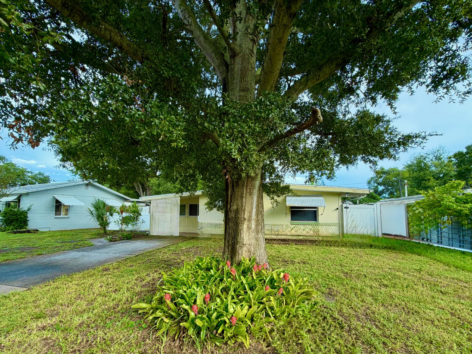 Two bedroom home for rent in North St Petersburg property image