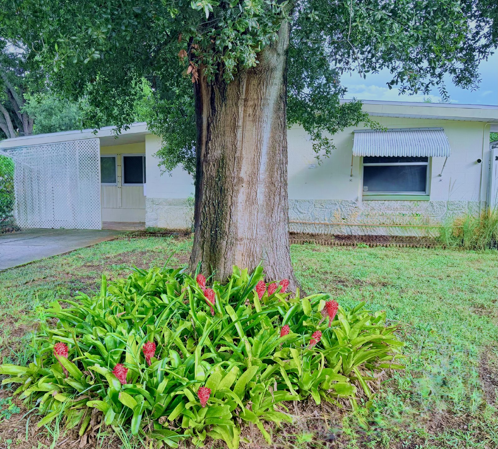 Two bedroom home for rent in North St Petersburg property image