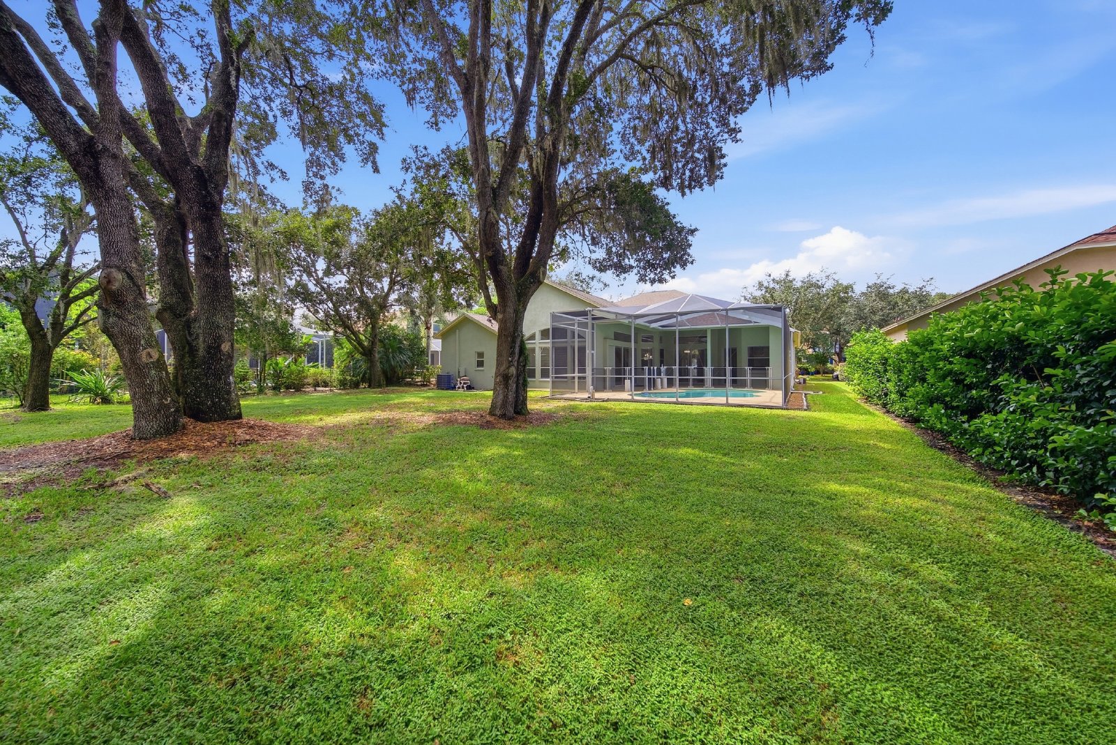Spacious New Tampa Pool Home in Gated West Meadows property image