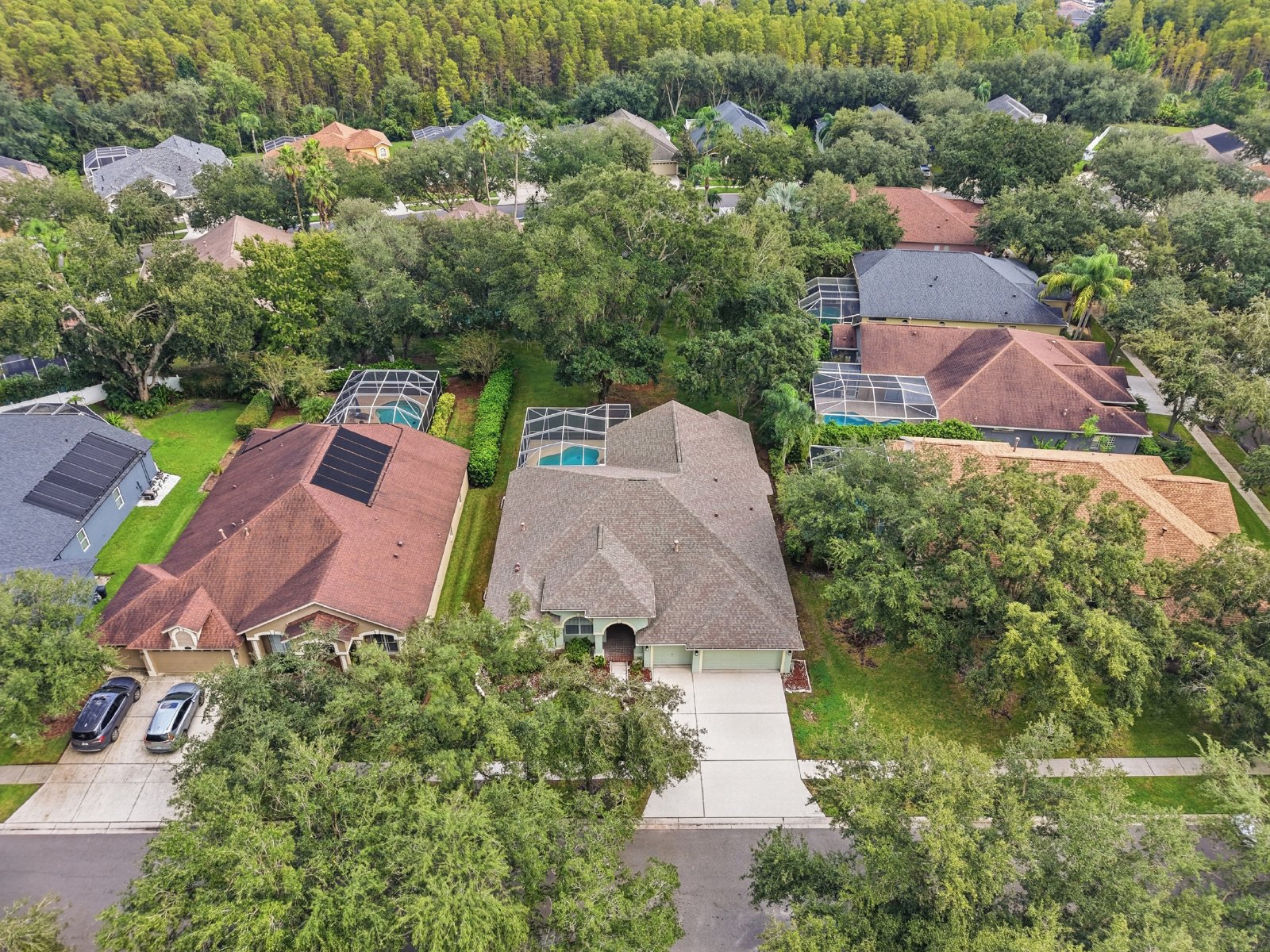 Spacious New Tampa Pool Home in Gated West Meadows property image