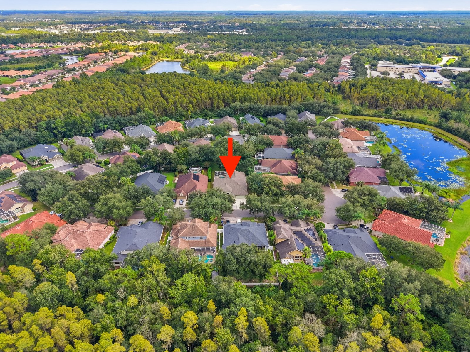 Spacious New Tampa Pool Home in Gated West Meadows property image