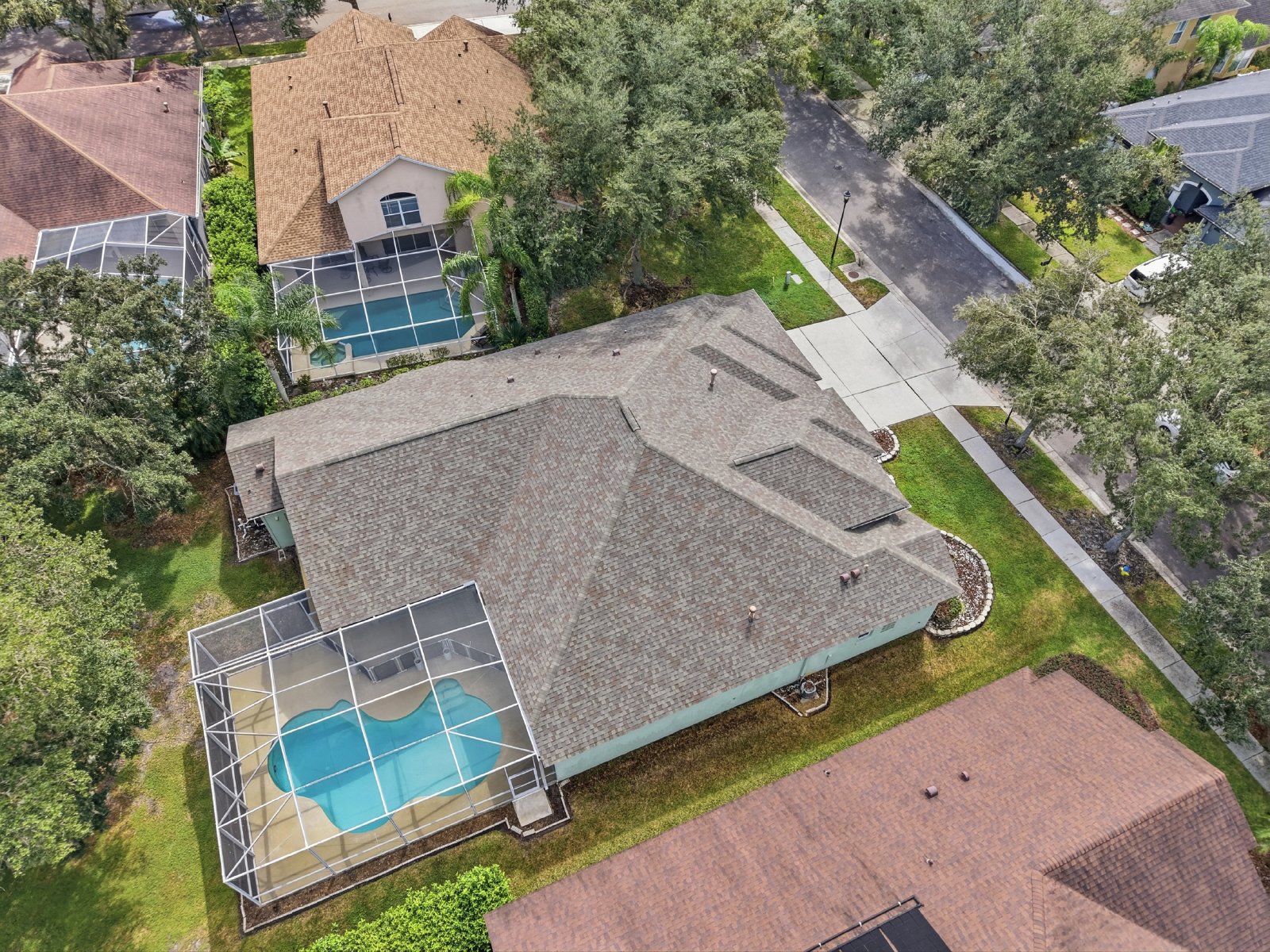 Spacious New Tampa Pool Home in Gated West Meadows property image