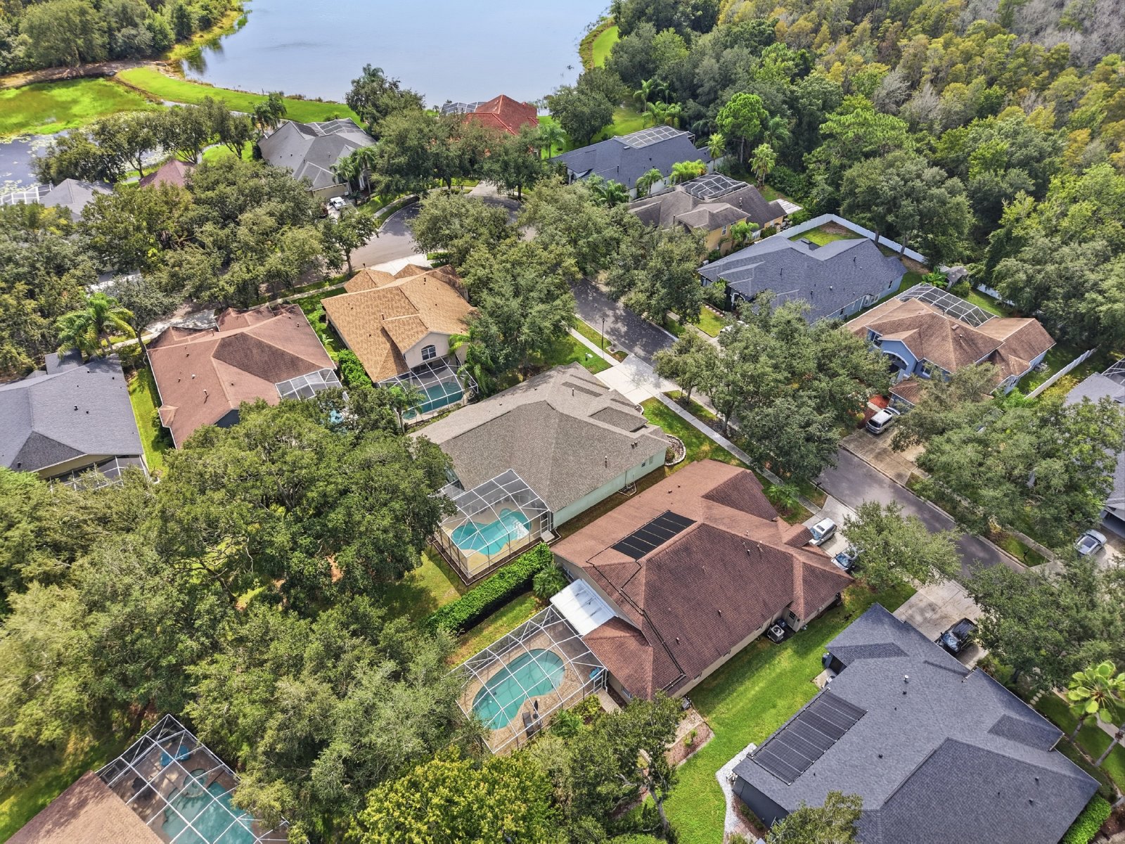 Spacious New Tampa Pool Home in Gated West Meadows property image