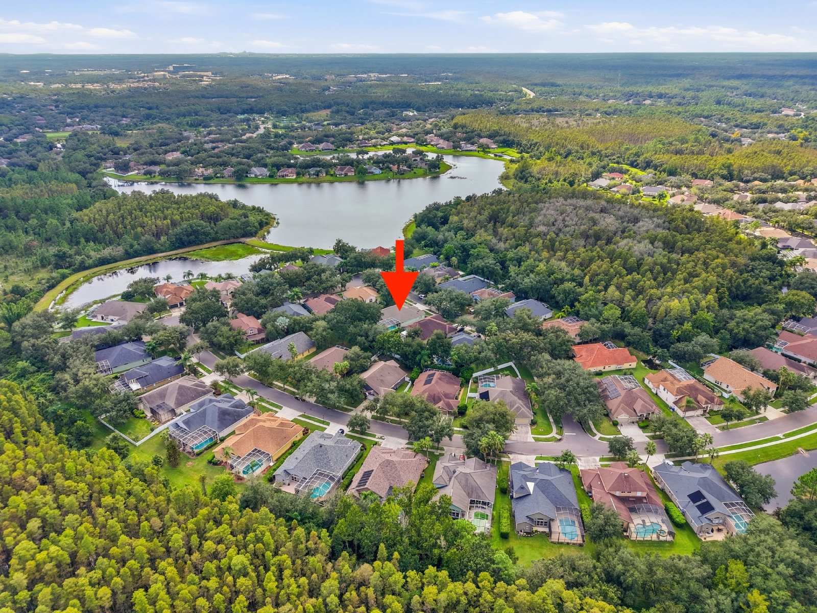 Spacious New Tampa Pool Home in Gated West Meadows property image