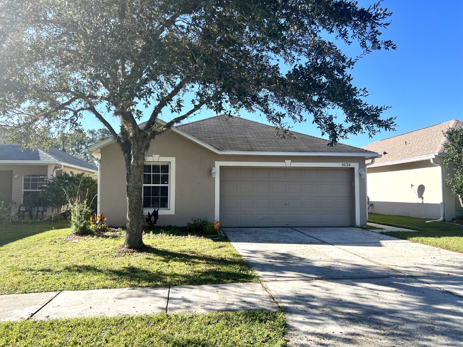 30134 Rattana Ct Wesley Chapel, FL 335451364 Dennis Property