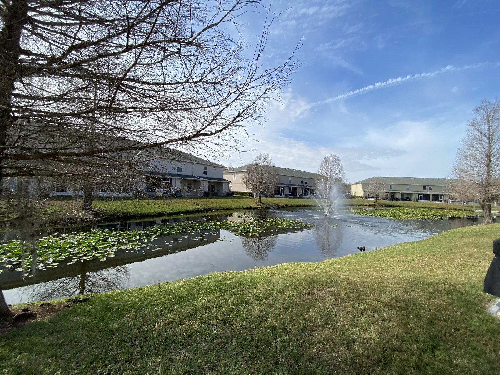 Gorgeous 3 Bed 2.5 Bath Odessa Townhouse property image