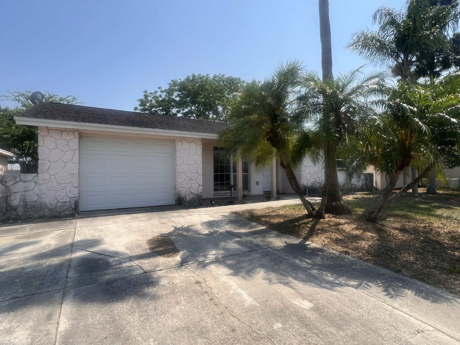 6804 El Camino Paloma St Port Richey, FL 346683887 Dennis Property