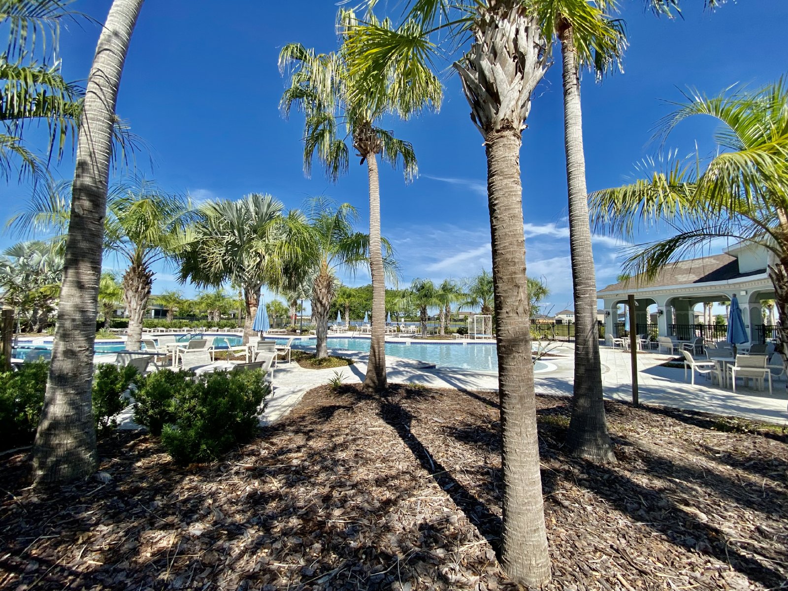 Captivating 3/2/2 Retreat In Belmont property image